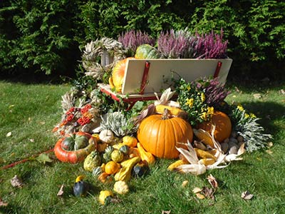 Bollerwagen mit Gemüse und Blumen dekoriert