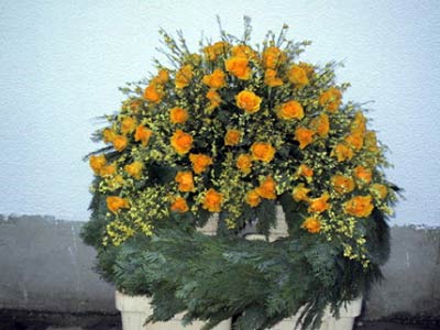 Sargkranz mit gelben Blüten