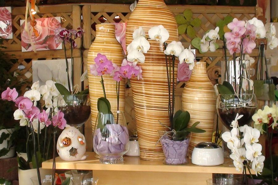 Vasen, Orchideen und Dekorationsartikel im Ladengesch&auml;ft von Blumen Cornielje