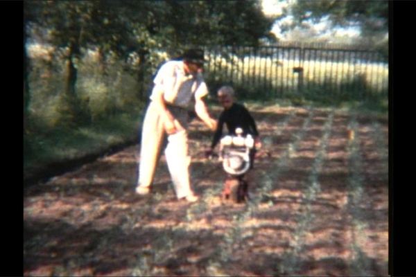 Historische Aufnahme aus der Blumenproduktion von Cornielje