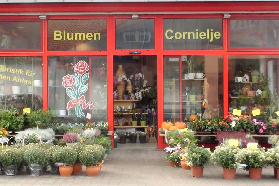 Ladengesch&auml;ft von Blumen Cornielje in der Balhornstra&szlig;e in Paderborn
