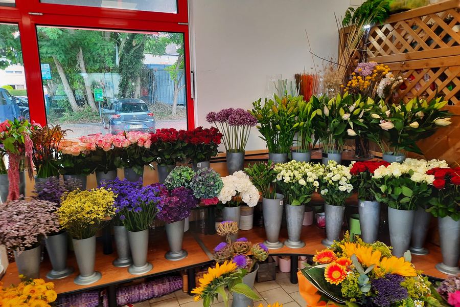 Blick in das Ladengesch&auml;ft von Blumen Cornielje in Paderborn