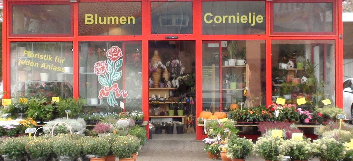Ladengeschäft von Blumen Cornielje in der Balhornstraße in Paderborn