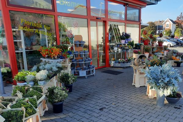 Ladengeschäft von Blumen Cornielje in der Balhornstraße in Paderborn