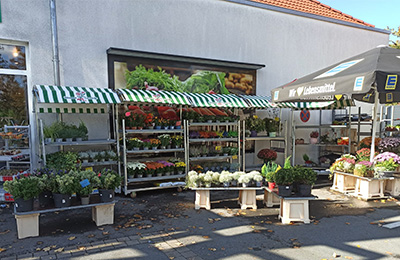 Standort Blumen Cornielje im Edeka Windmann, Elsen