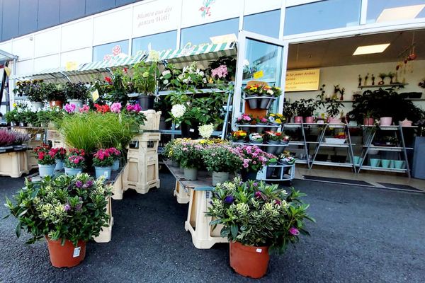 Blumenshop von Blumen Cornielje im Kaufland in der Husener Straße in Paderborn
