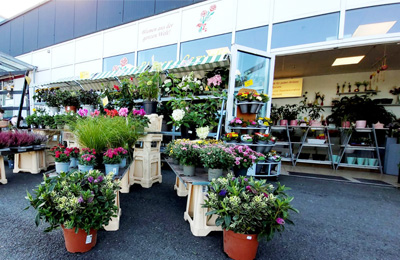 Standort Blumenladen Cornielje - am Kaufland