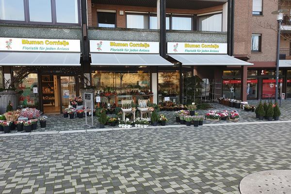 Blumenladen Cornielje in der Langen Straße in Bad Lippspringe