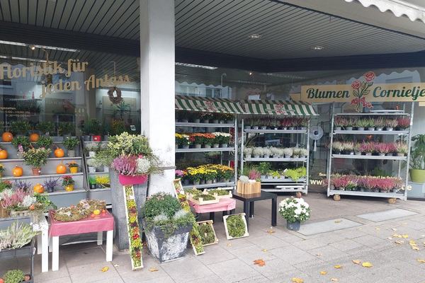 Blumenladen in Paderborn finden