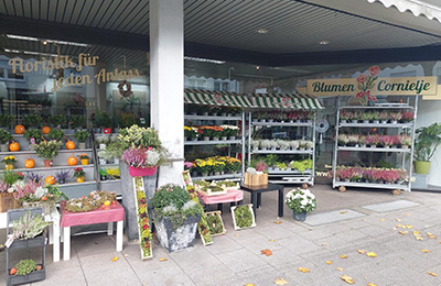 Standort Blumen Cornielje in Schloss Neuhaus