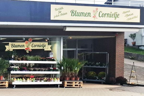 Blumenladen Cornielje am Alten Hellweg in Paderborn-Wewer